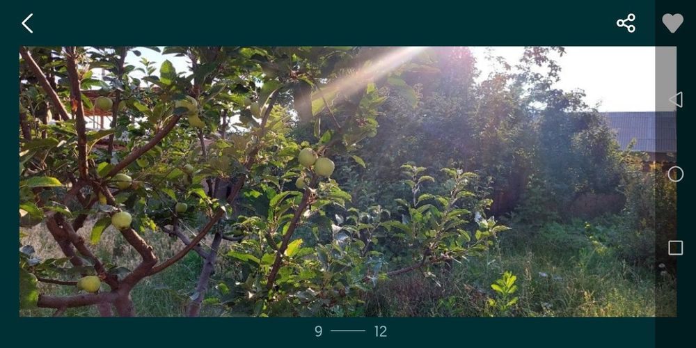 8 сотик участка сотилади 2 та 4 хона.