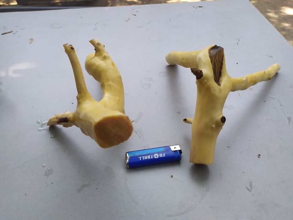 Коряги для аквариума / террариума.