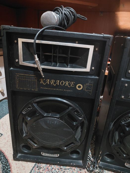 Продаю колонку с микрофоном