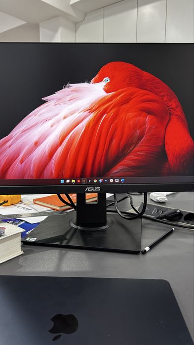 Монитор ASUS 24