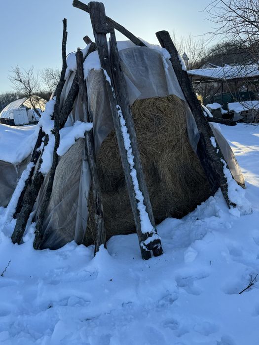 Vând baloți fân și lucernă