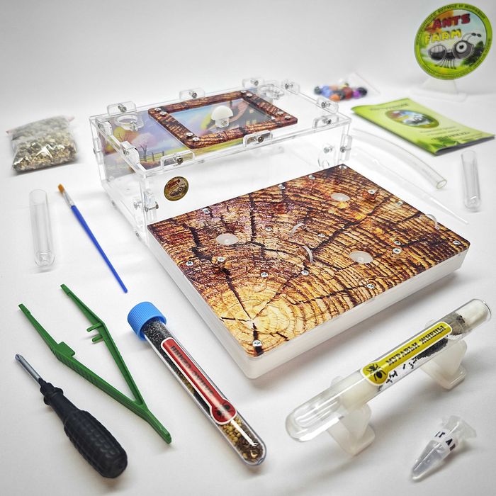 Муравьиная ферма - Муравьи жнецы ||| ГИПСОВЫЙ Формикарий "ADVANCED"