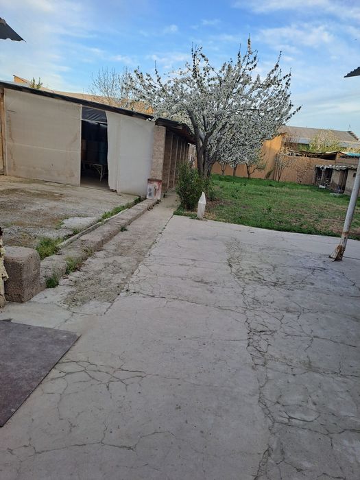 Хасанбой. 8 сот. Ховли .