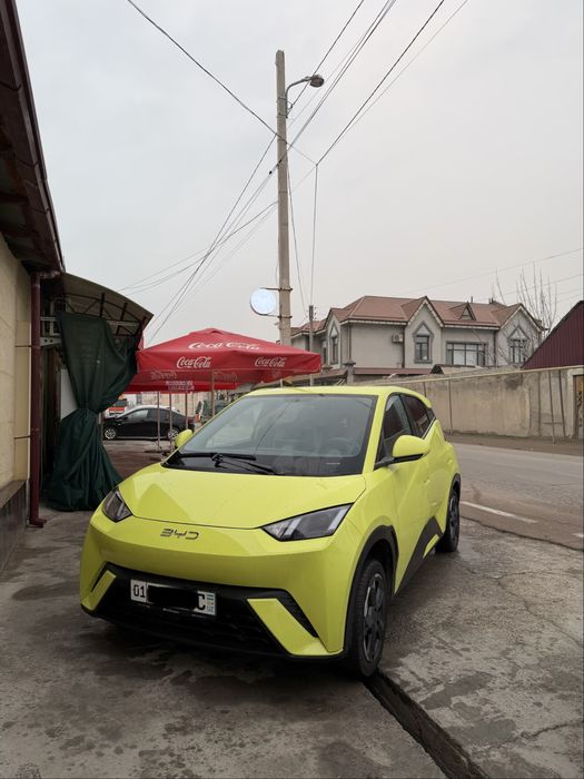 Byd seagull arenda, vikup