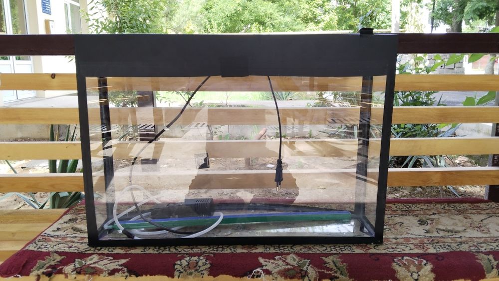 Akvarium baliqlar uchun