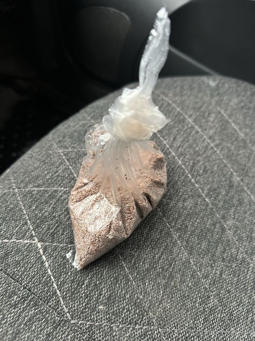 Псиллиум семена подорожника 100г