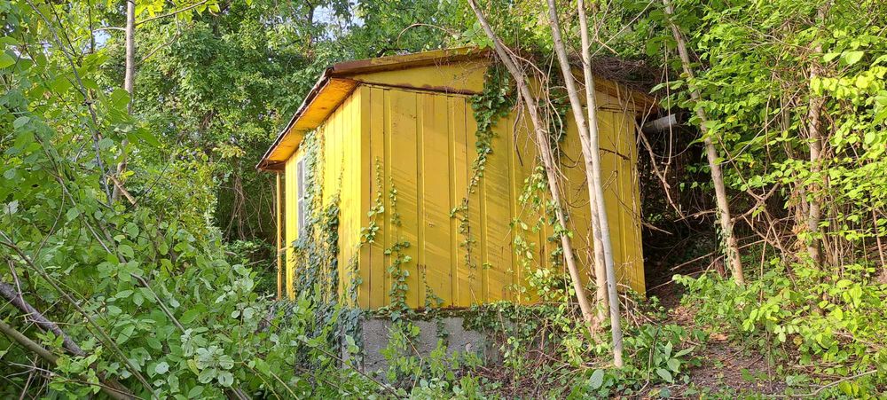 Отдавам дългосрочно панорамен, южен парцел под наем - Шумен, м-т "Чашка"