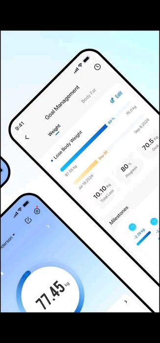 Cantar Electronic Renpho