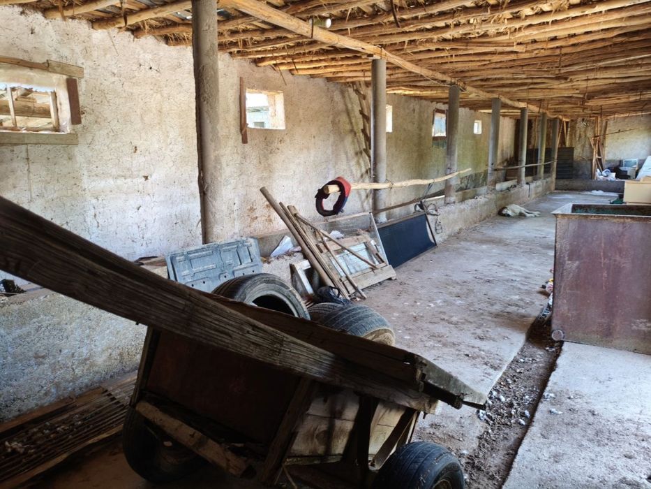 Помещение для фермы в аренду