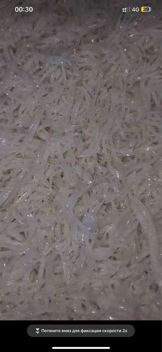 Нарын на заказ с