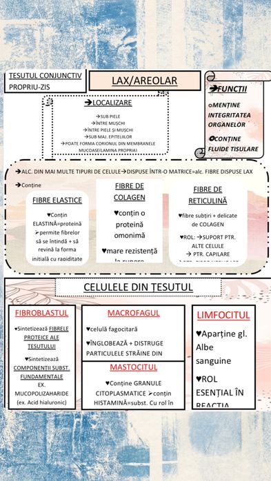 Materiale admitere medicina barron’s