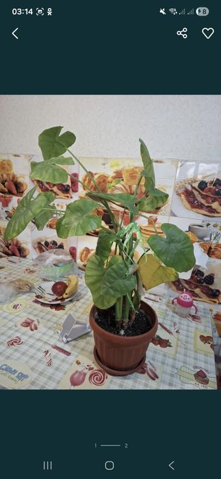 Продам 3500 тенге