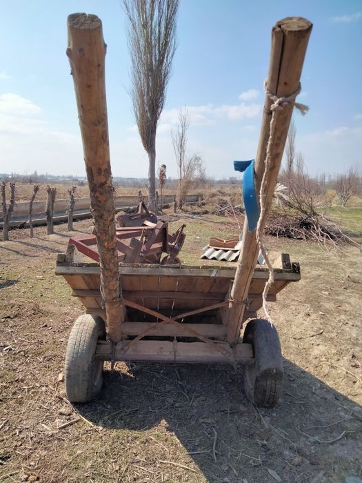 Ешек арба сатылады