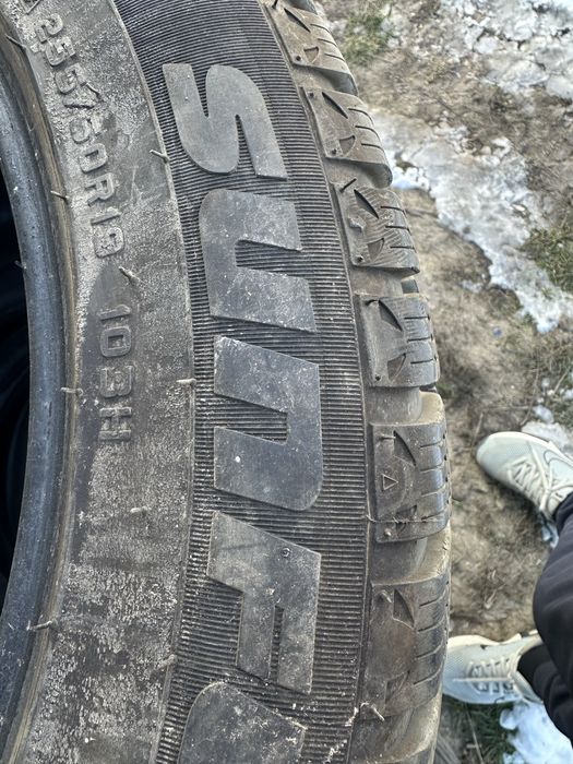 Зимни гуми 255/50/19