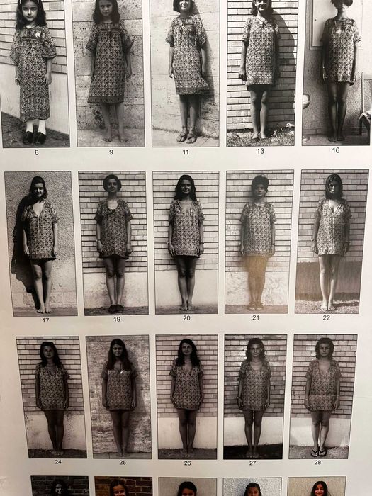 Poster Daiana and Anais din 1980–2012 de Mihai Stănescu