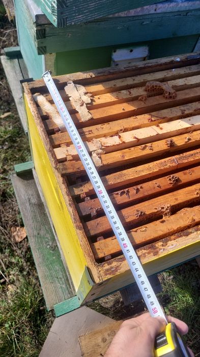 Vand cuti stupi 10 rame cu cat