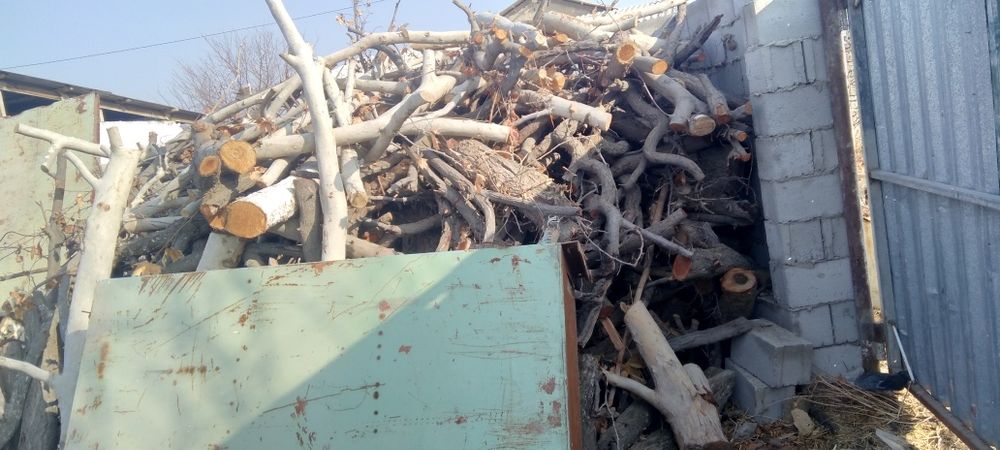 O'tin sotilade ho'l quruq aralash zaldore chinor tut o'tinlar katta ka