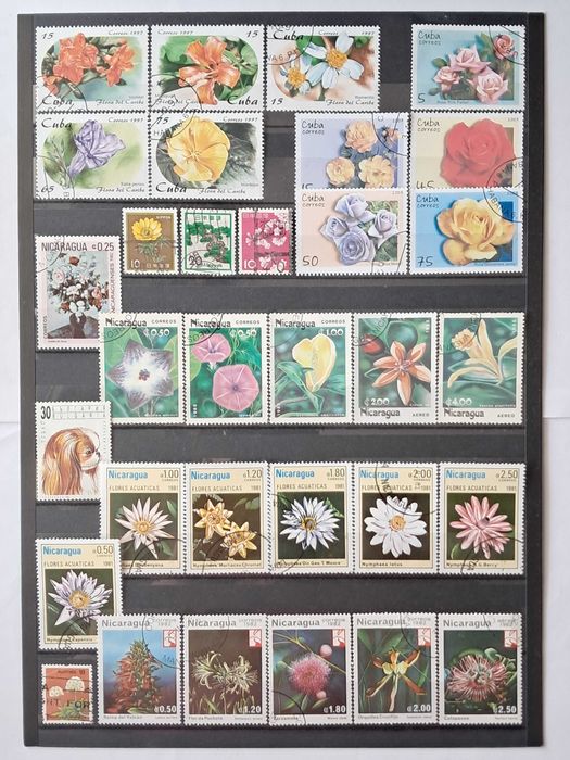 Пощенски марки тема ”Растения”.