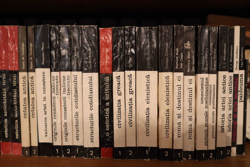 Colecție Completă Cărți de Artă și Civilizație — Seria Meridiane, 60+ Volume, Oprescu, Braudel, Faure, Chamoux