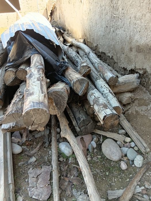 Terek sotiladi eskiro