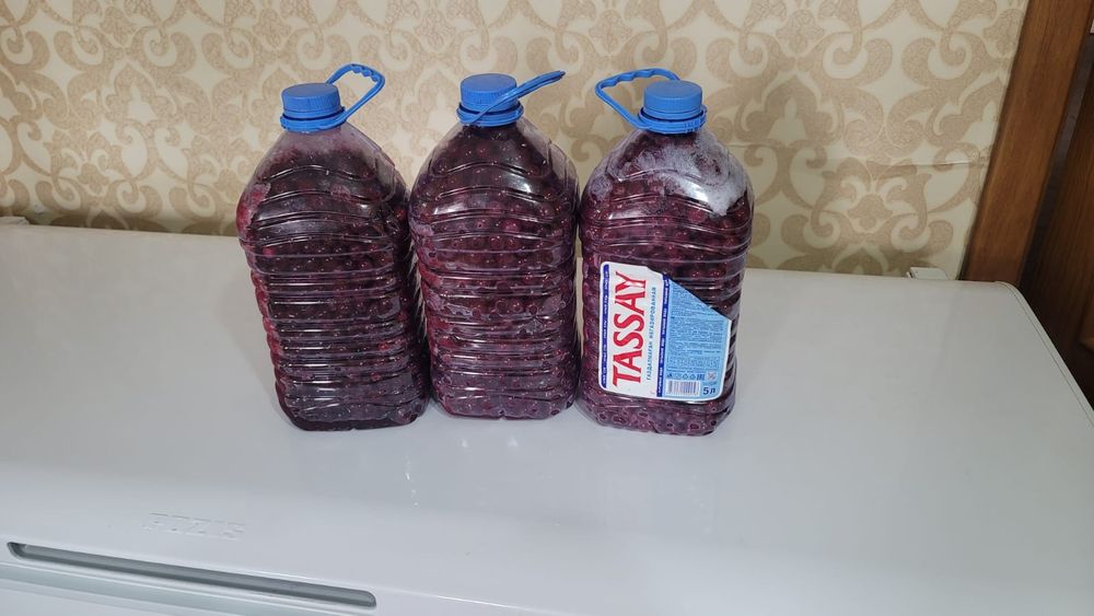 Продам домашнюю вишню очень крупная,