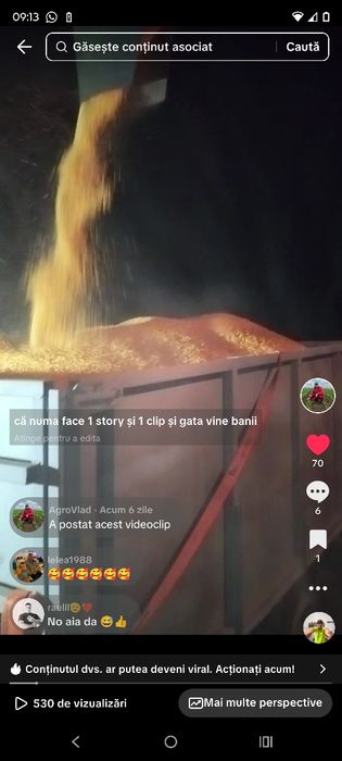 Porumb  de vânzare 1 leu kg