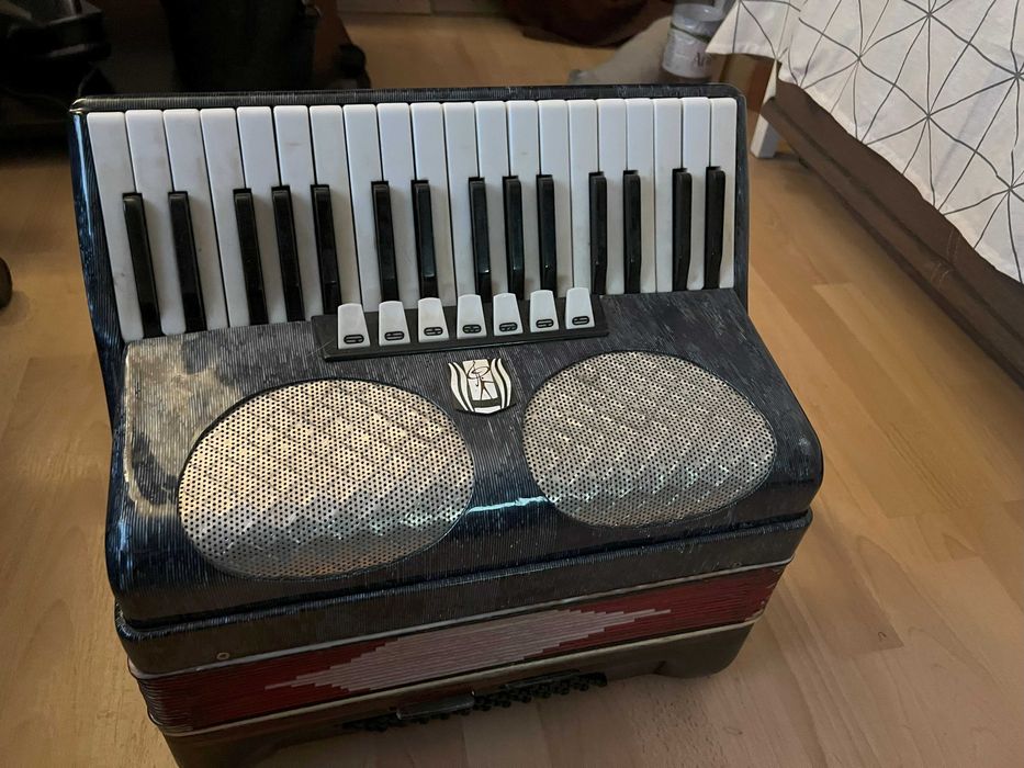Acordeon in stare foarte buna!