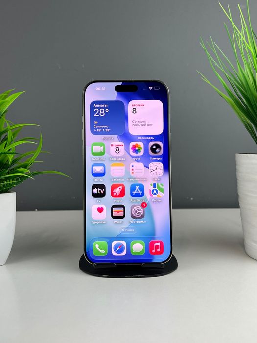 Apple iPhone 16 Pro Max  256 GB 70052а165