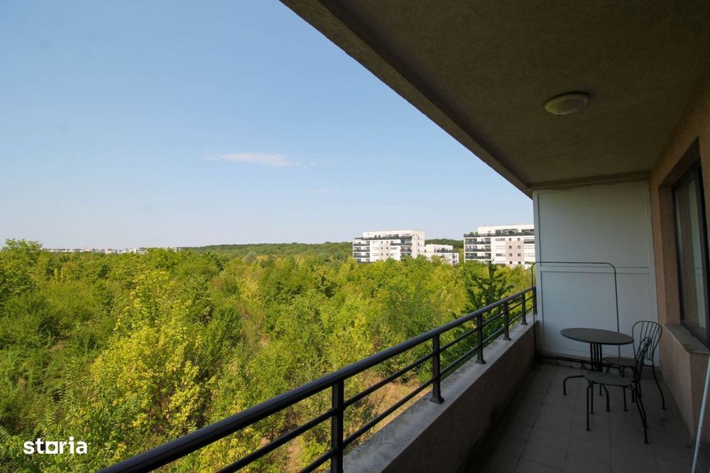 Iancu Nicolae: Apartament cu 2 camere cu o priveliste superba! — fotografia 1