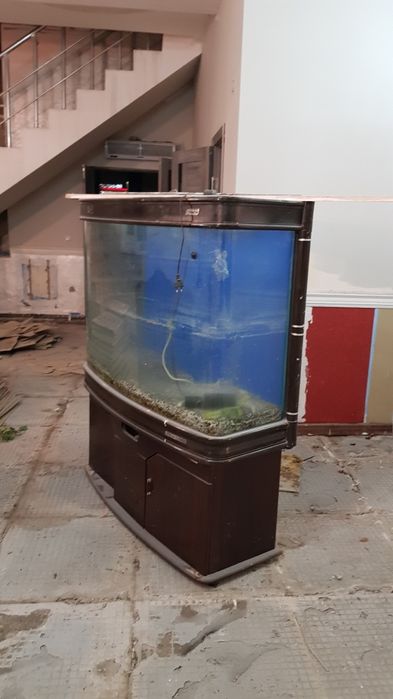 Аквариум. Сатылады срочно