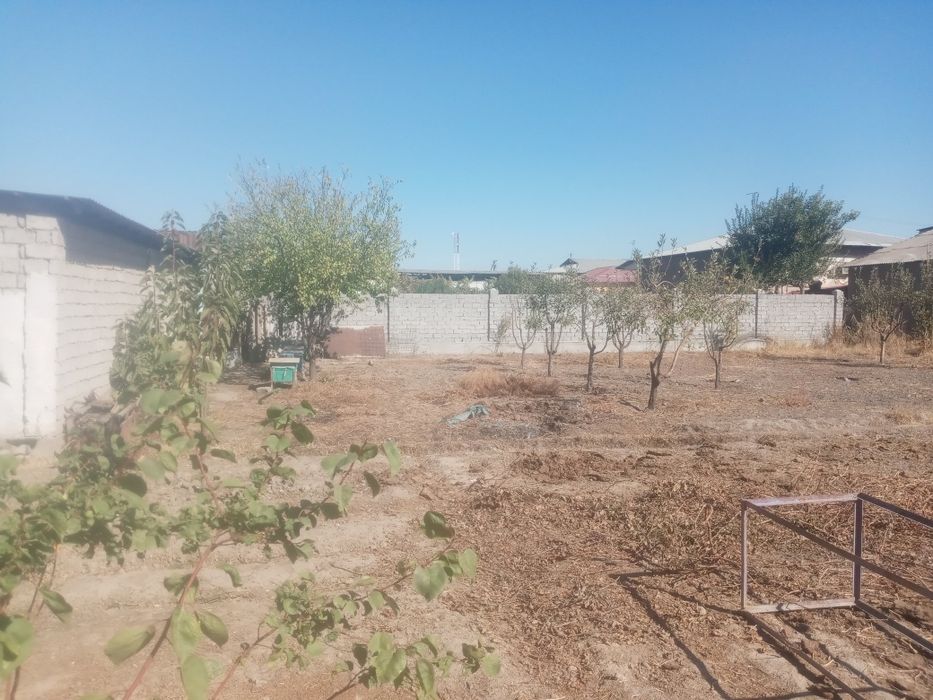 yer sootiladi yer maydo i 8 sotik 15000 minda sotigiga soravomiz