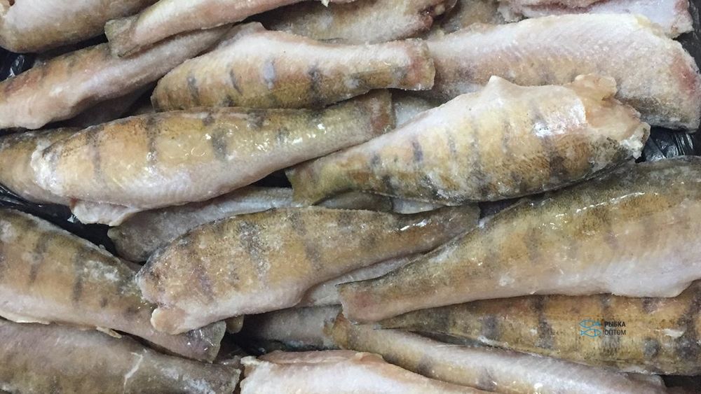 Тушка судачка берша