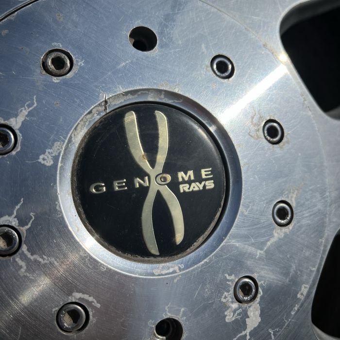 Оригинальные Кованные диски Rays Genome R18