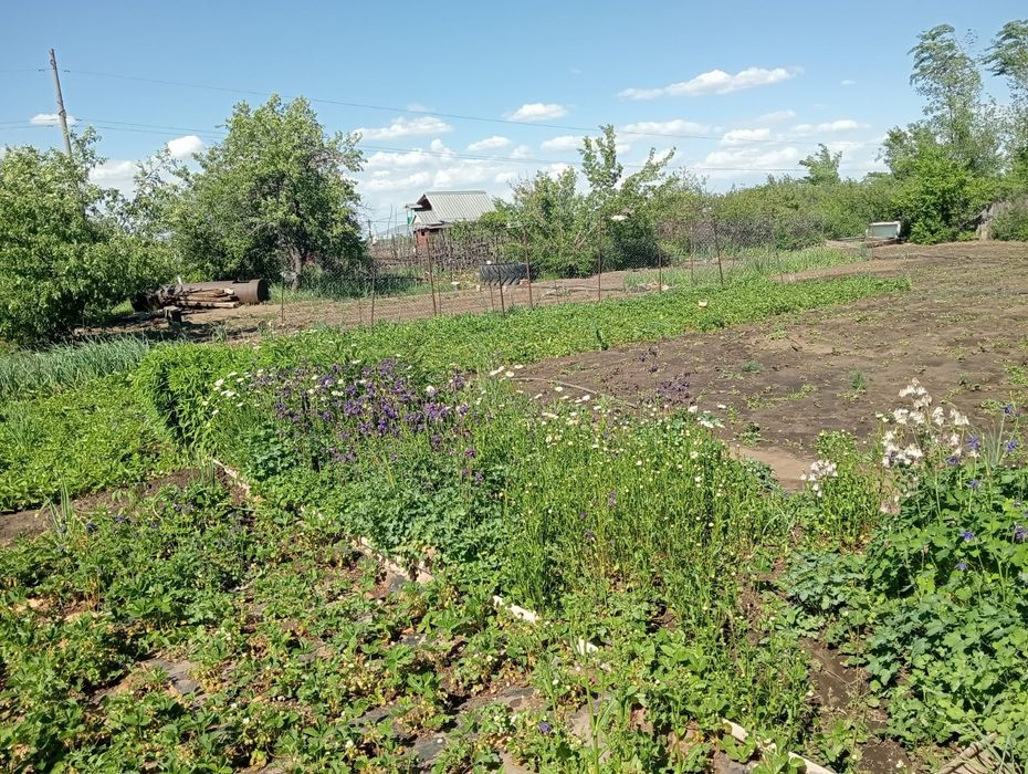 Продам дачу 28 маршрут