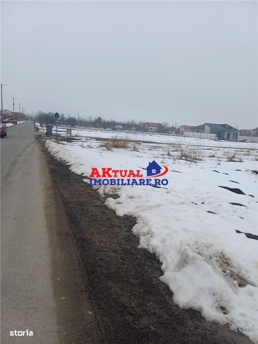 Vanzare Teren-8100mp-Domnesti -Teghes