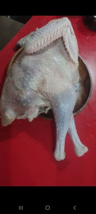 Продаются очень экологически чистые курочки,индюшки,индоутки,перепёлки