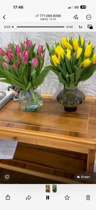 Тюльпаны оптом и розницу + упаковка в подарок