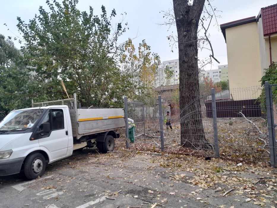 Debarasare evacure mobila moloz renovare