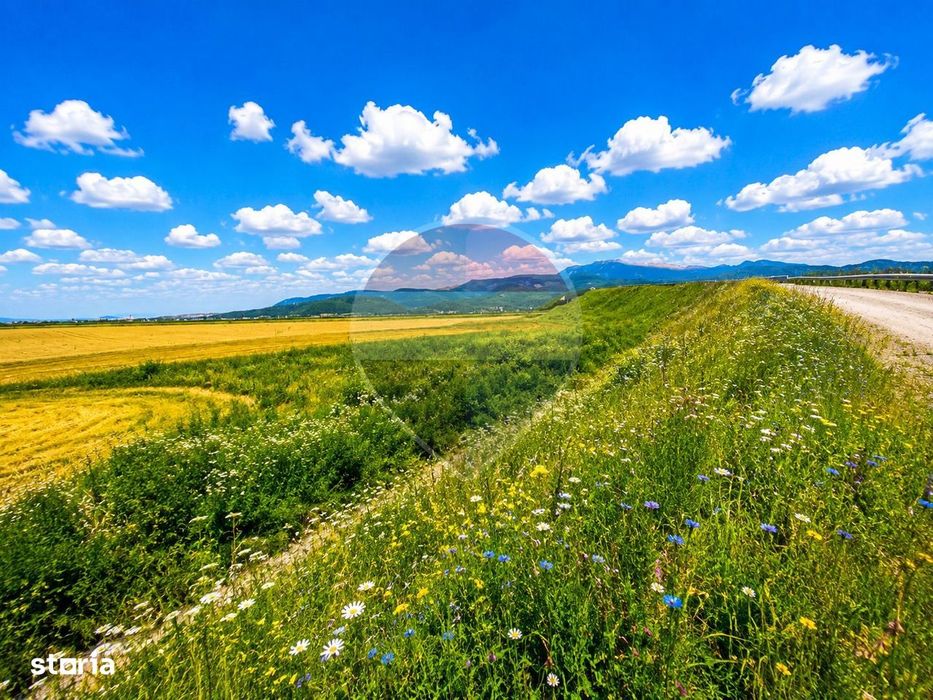 Teren extravilan 17,000mp Rasnov langa Autostrada A3, zona industriala
