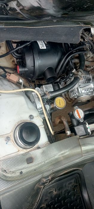 Бир кул минилган полик чихол туртта балон Янги техник курикдан утган б