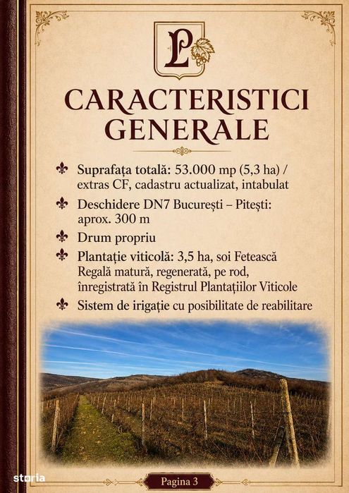 Teren de 53.000 mp cu vita de vie + Conac boieresc