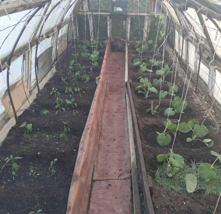 Продам  дачу в городе.