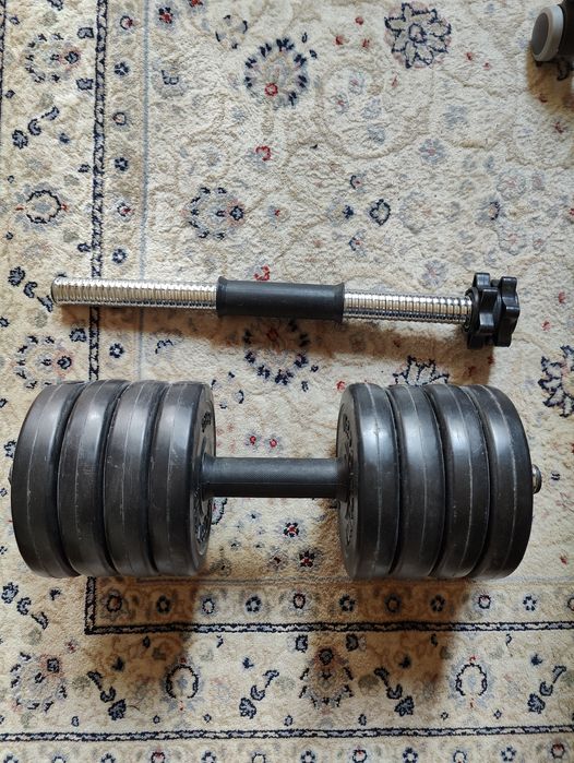 Set 2 Gantere 10KG Total