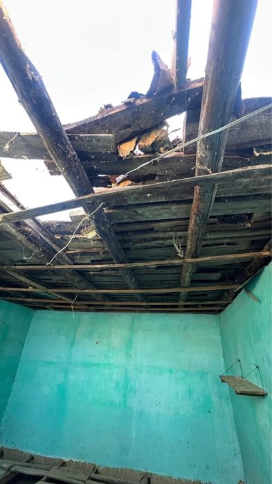 Отынға ағаш. Дрова