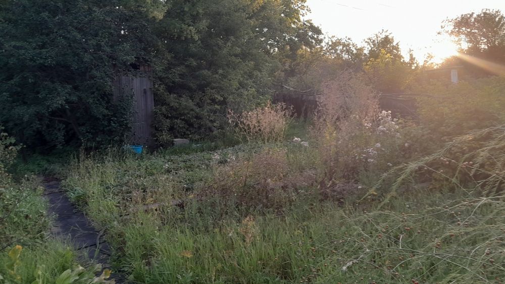 Продам дачный участок