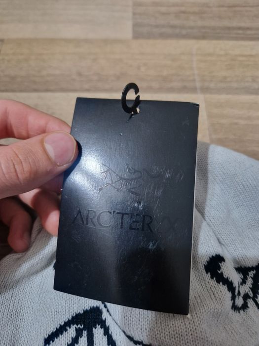 Arcterix beanie y2k vintage