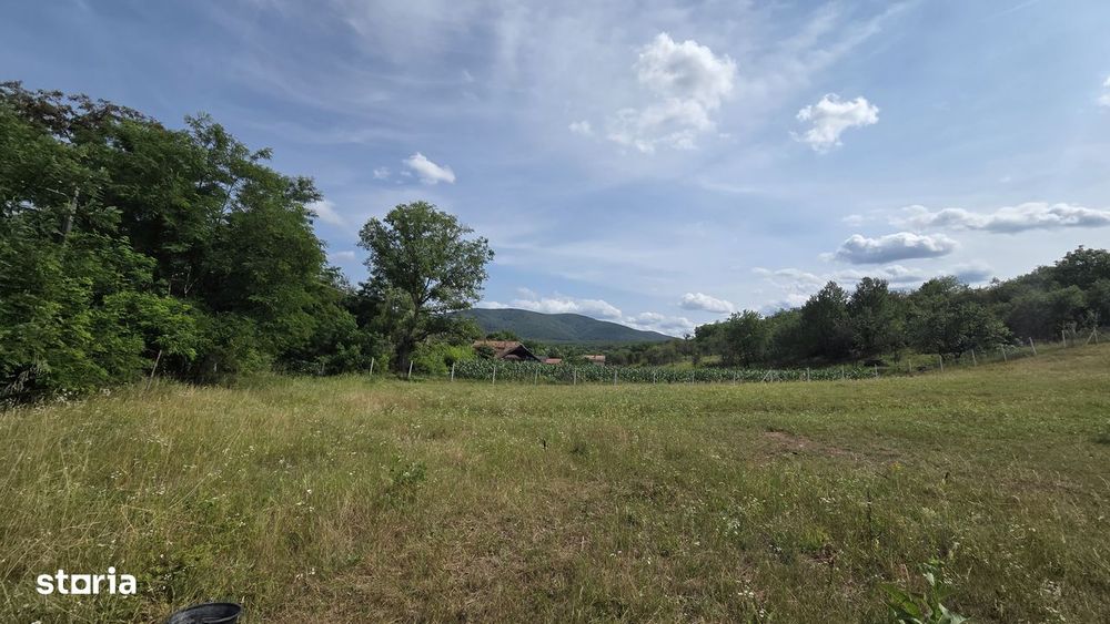 De vănzare teren intravilan Fetindia Salaj pret  1300e arul