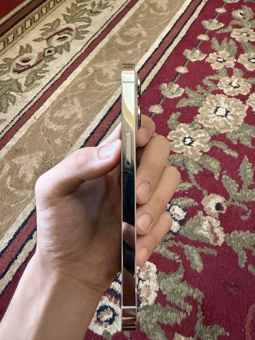 iPhone 13 pro