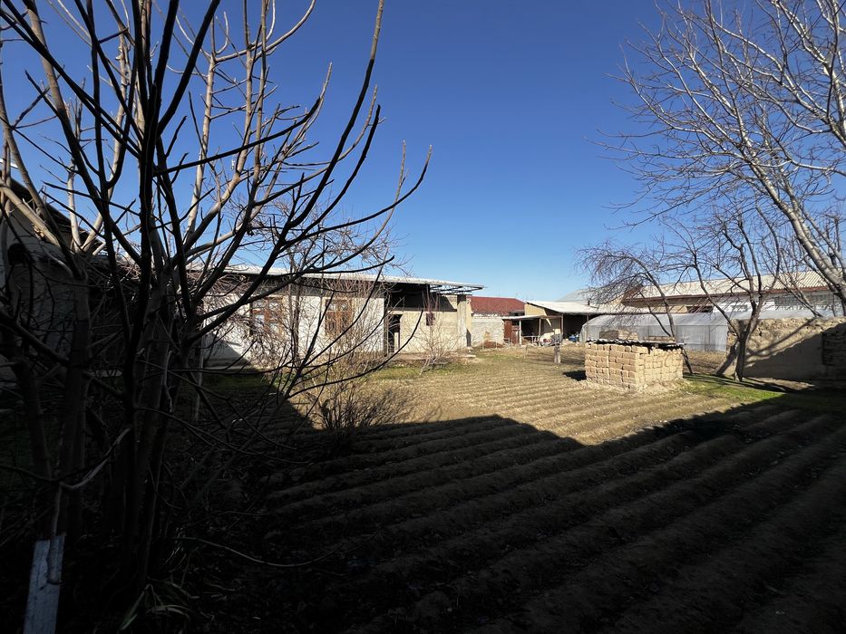 6 Sotiq Hovli Uy va podval bilan