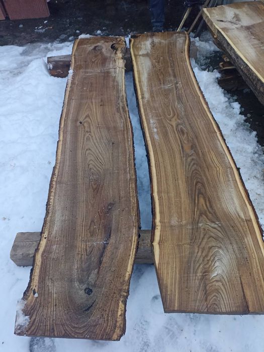 Талпи Японска Акация